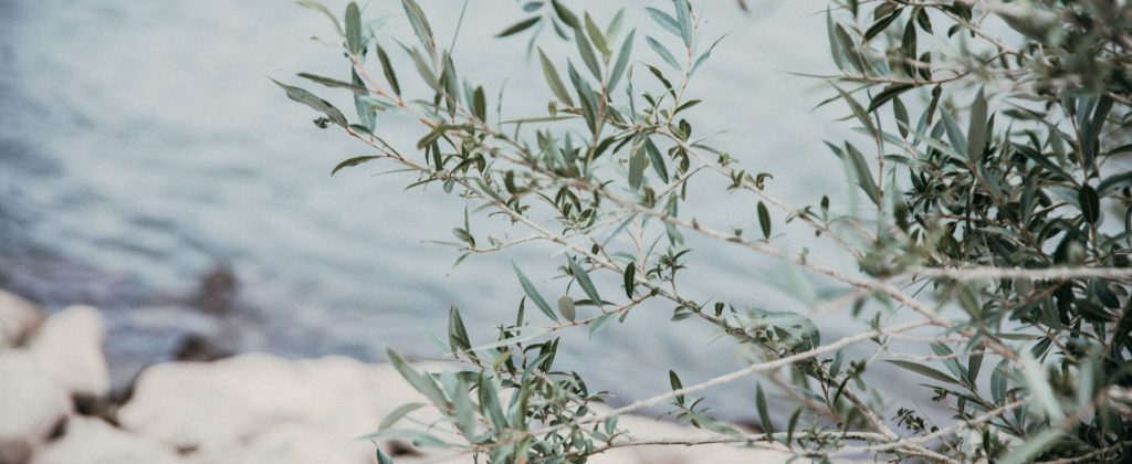 Zeit & Rahmen - Yoga | Meditation | Achtsamkeit - Banner Privatunterricht